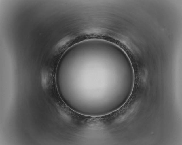 X0000111930967200908101138