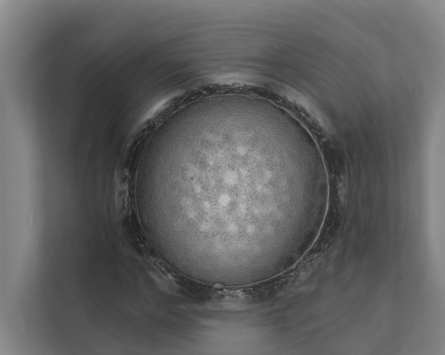 X0000111930968200908101138