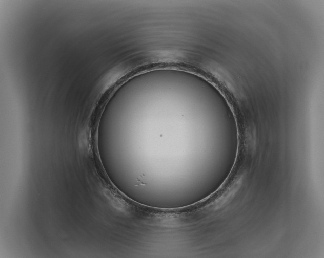 X0000111930970200908101138