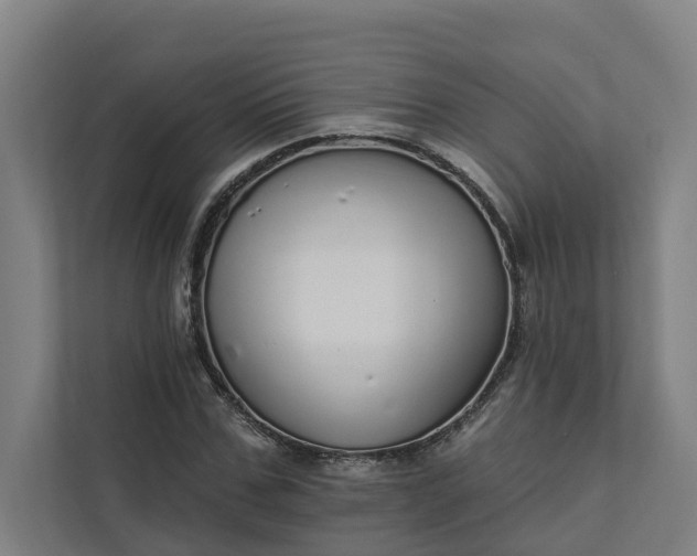 X0000111930971200908101138