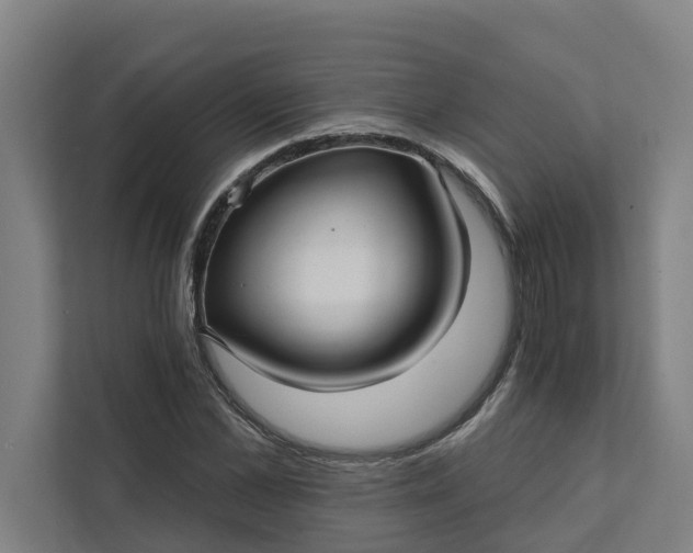 X0000111930973200908101138