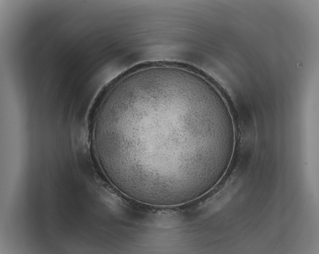 X0000111930974200908101138