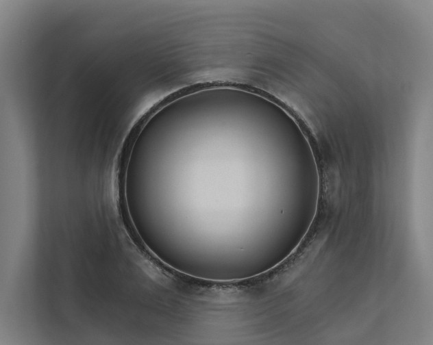 X0000111930983200908101138