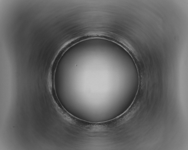 X0000111930984200908101138