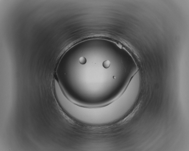 X0000111930985200908101138