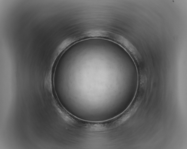 X0000111930986200908101138