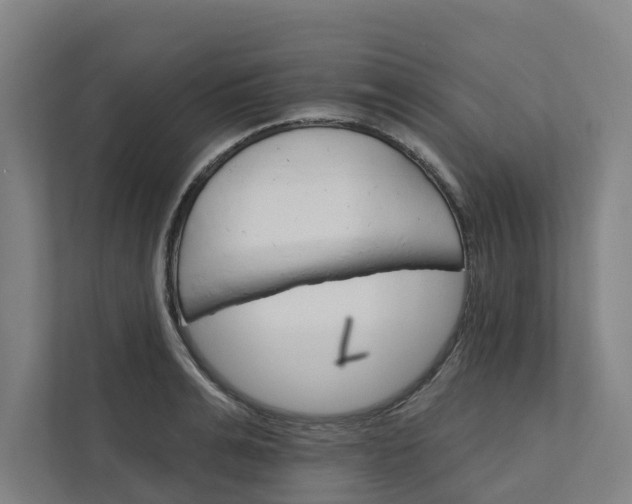 X0000111930991200908101138