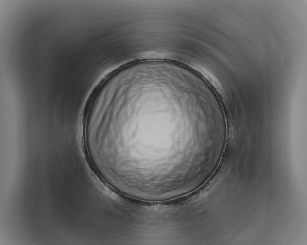 X0000111930992200908101138