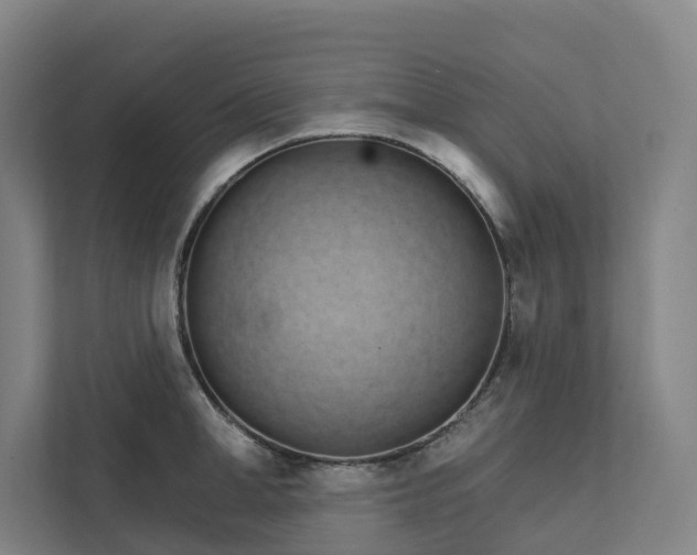 X0000111930998200908101138