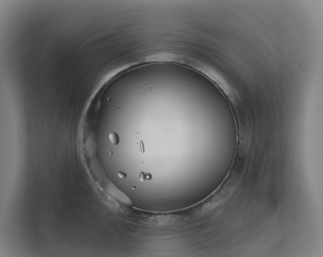 X0000111931000200908101138