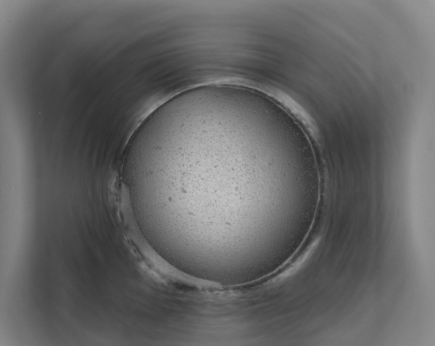 X0000111931001200908101138