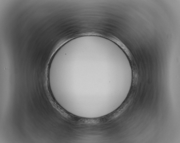 X0000111931002200908101138