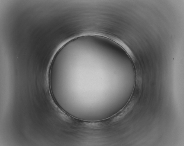 X0000111931004200908101138