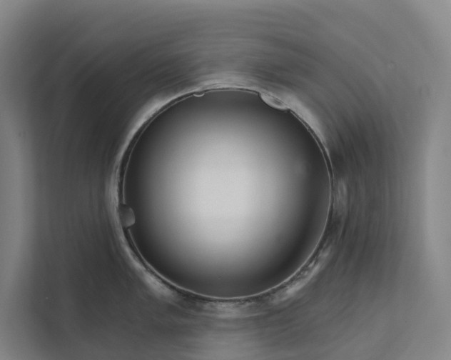 X0000111931005200908101138