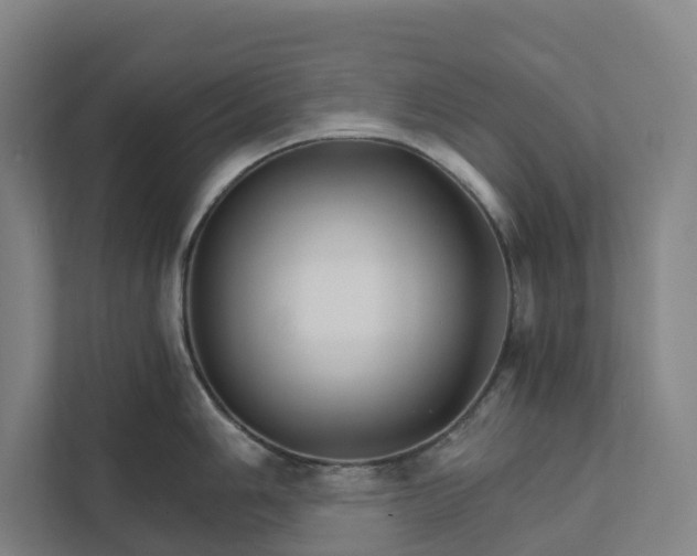 X0000111931006200908101138