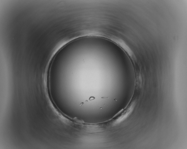 X0000111931007200908101138