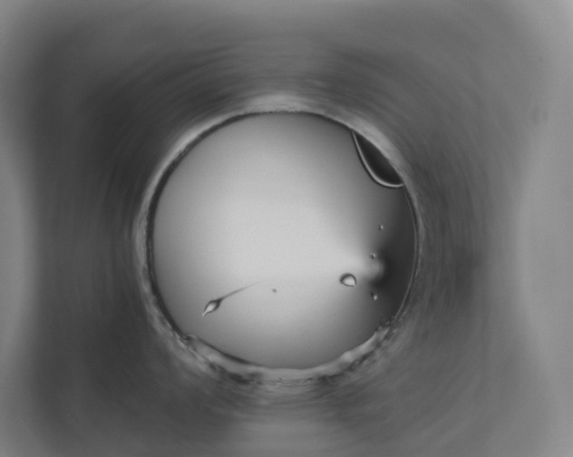 X0000111931008200908101138