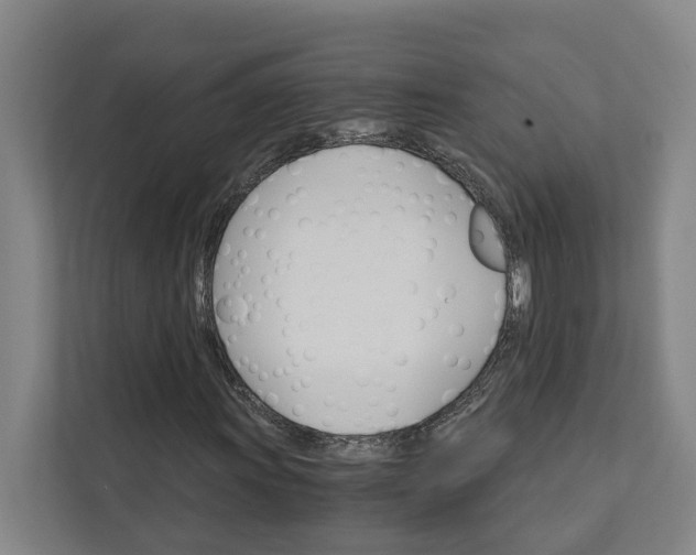 X0000111931011200908101137