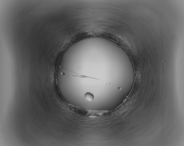 X0000111931012200908101137