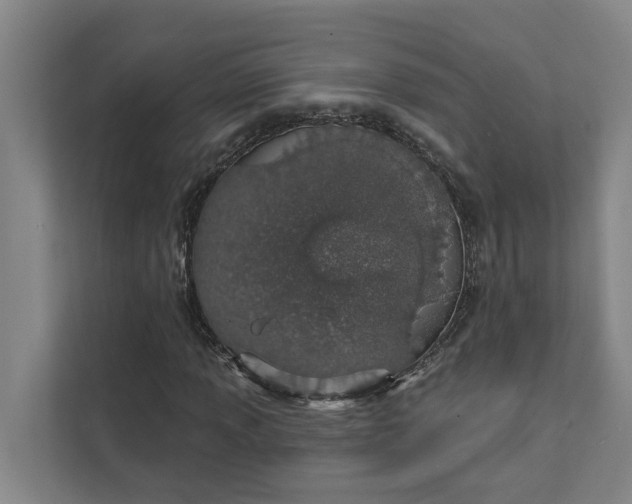 X0000111931013200908101137