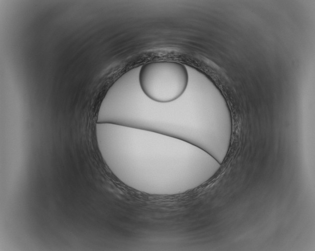 X0000111931014200908101137