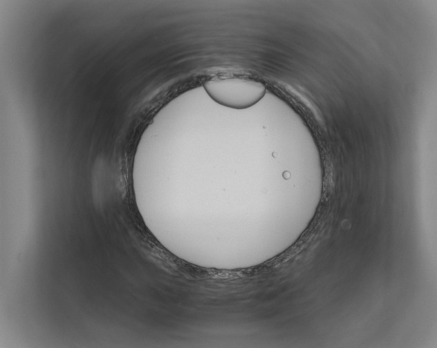 X0000111931015200908101137