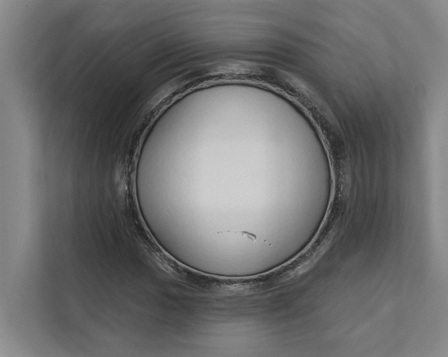 X0000111931017200908101137