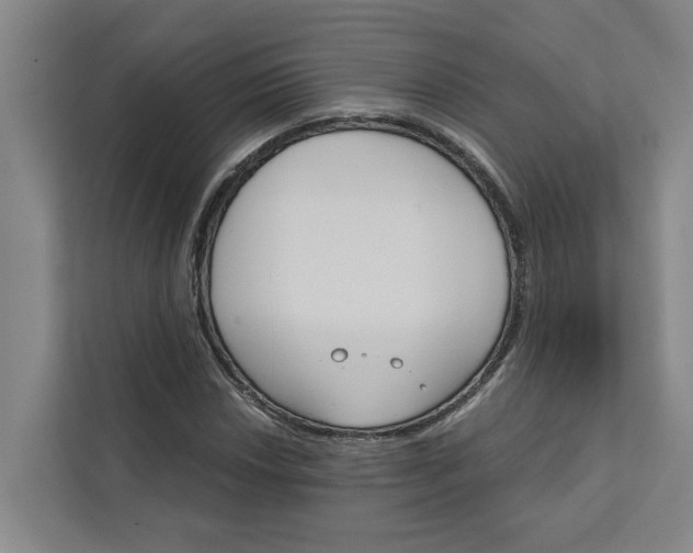 X0000111931018200908101137