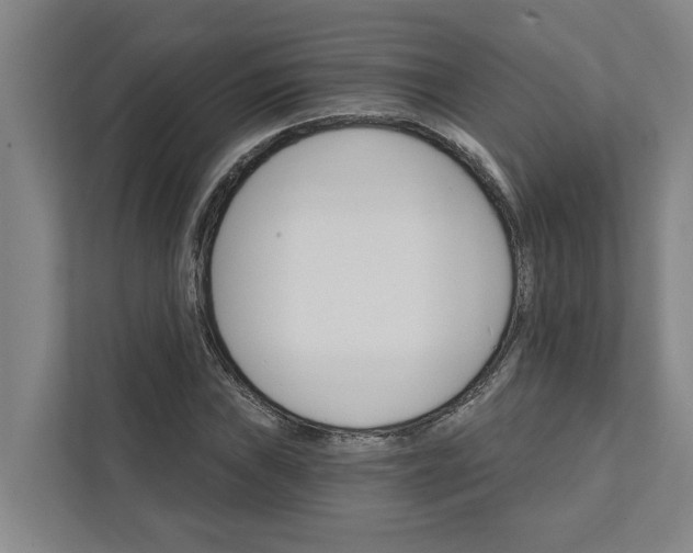 X0000111931019200908101137