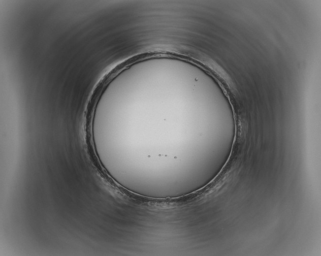 X0000111931020200908101137