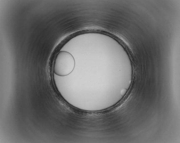 X0000111931022200908101137