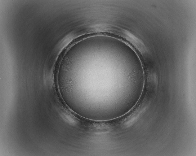 X0000111931023200908101137