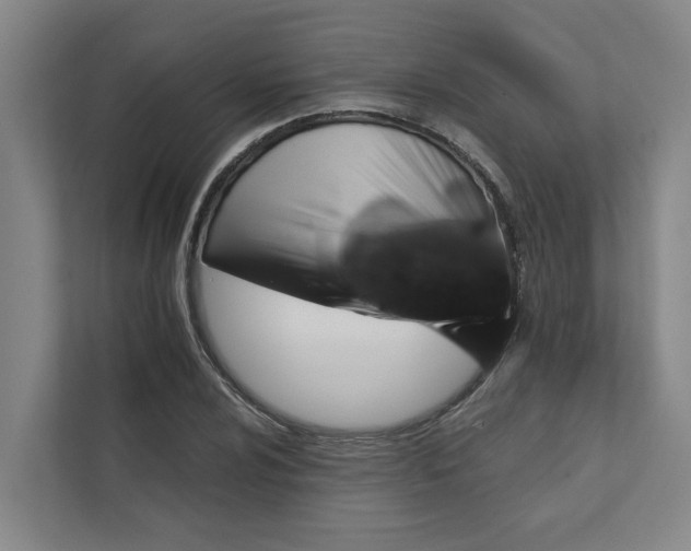 X0000111931024200908101137