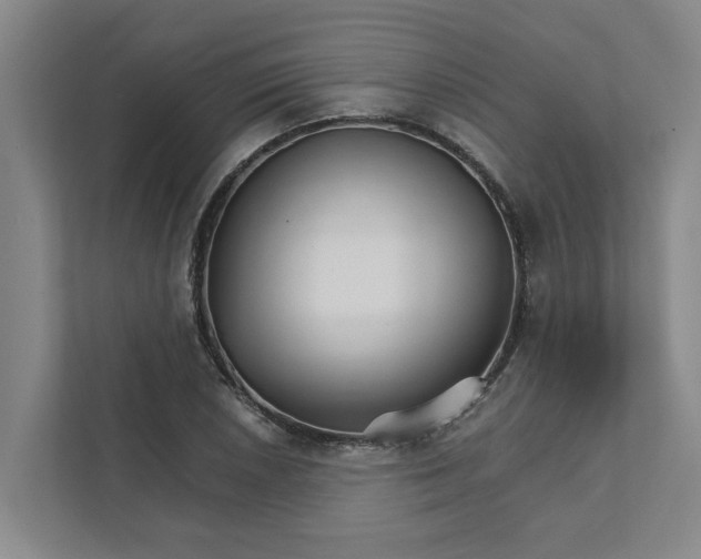 X0000111931026200908101137