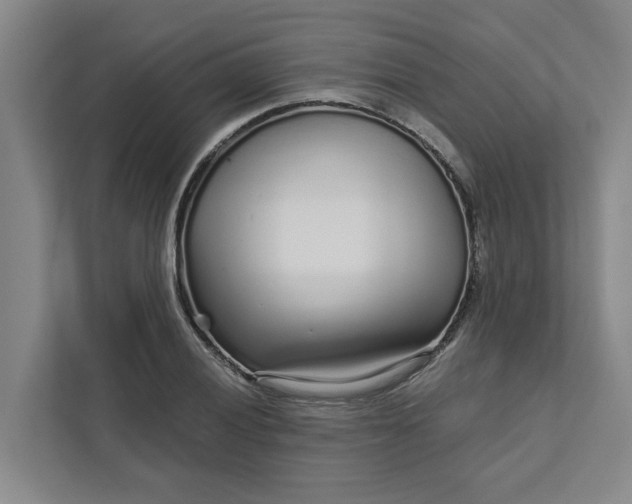 X0000111931028200908101137