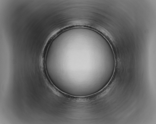 X0000111931029200908101137