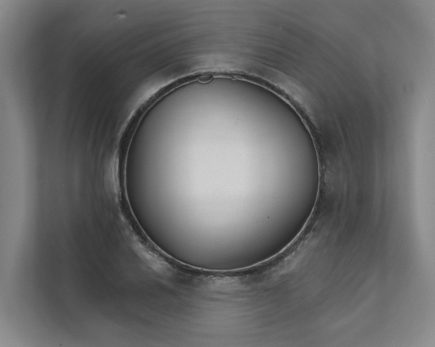 X0000111931030200908101138