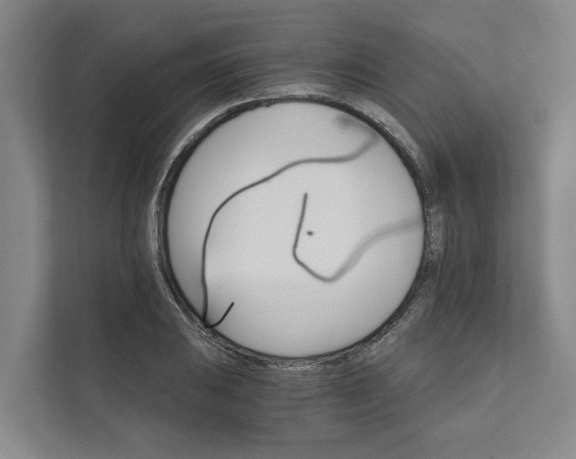 X0000111931031200908101138