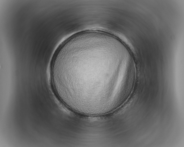 X0000111931032200908101138