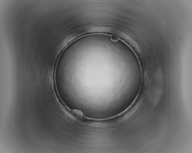 X0000111931033200908101138