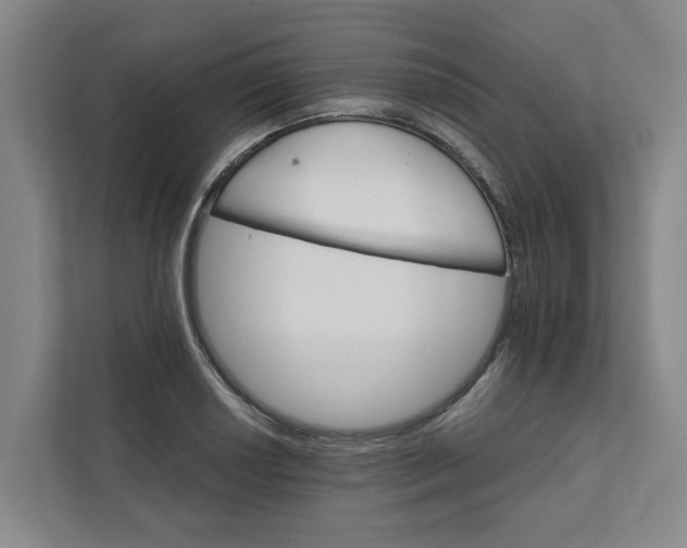 X0000111931034200908101138