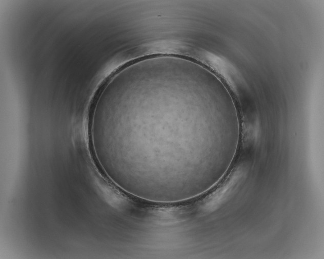 X0000111931035200908101138