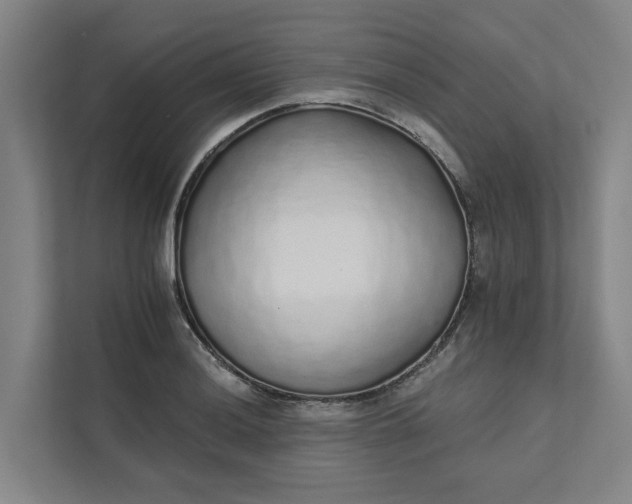 X0000111931036200908101138