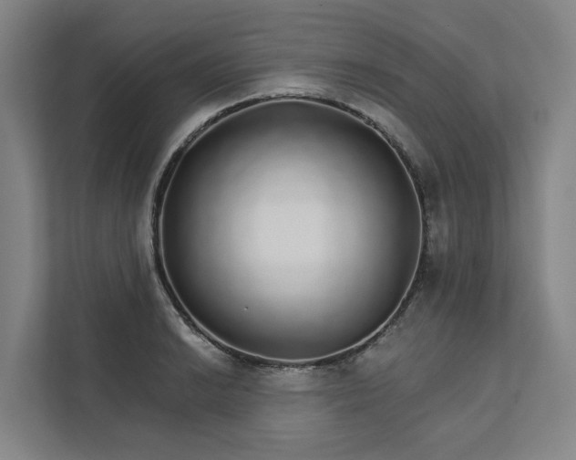 X0000111931038200908101138