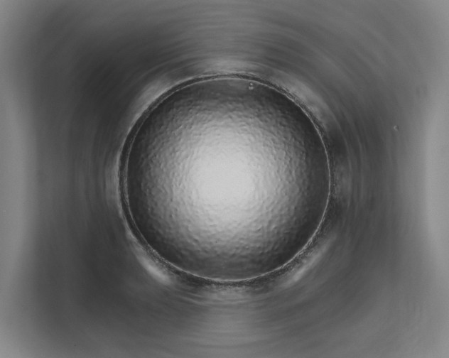 X0000111931039200908101138