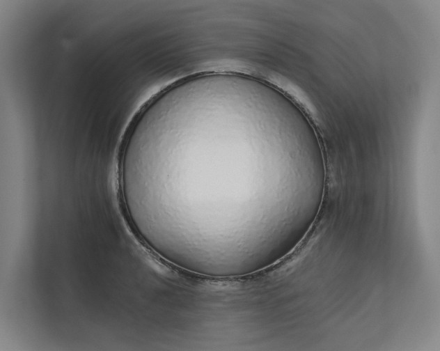 X0000111931040200908101138