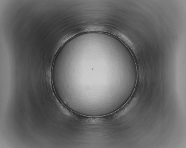 X0000111931041200908101138