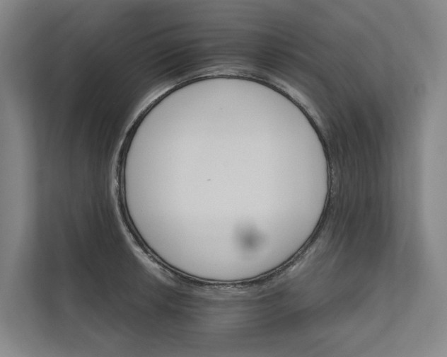 X0000111931042200908101138