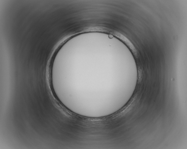 X0000111931043200908101138