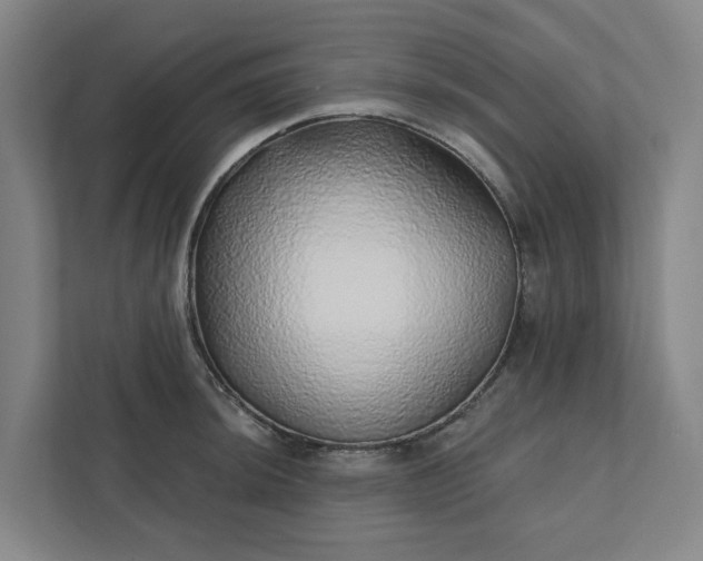 X0000111931044200908101138